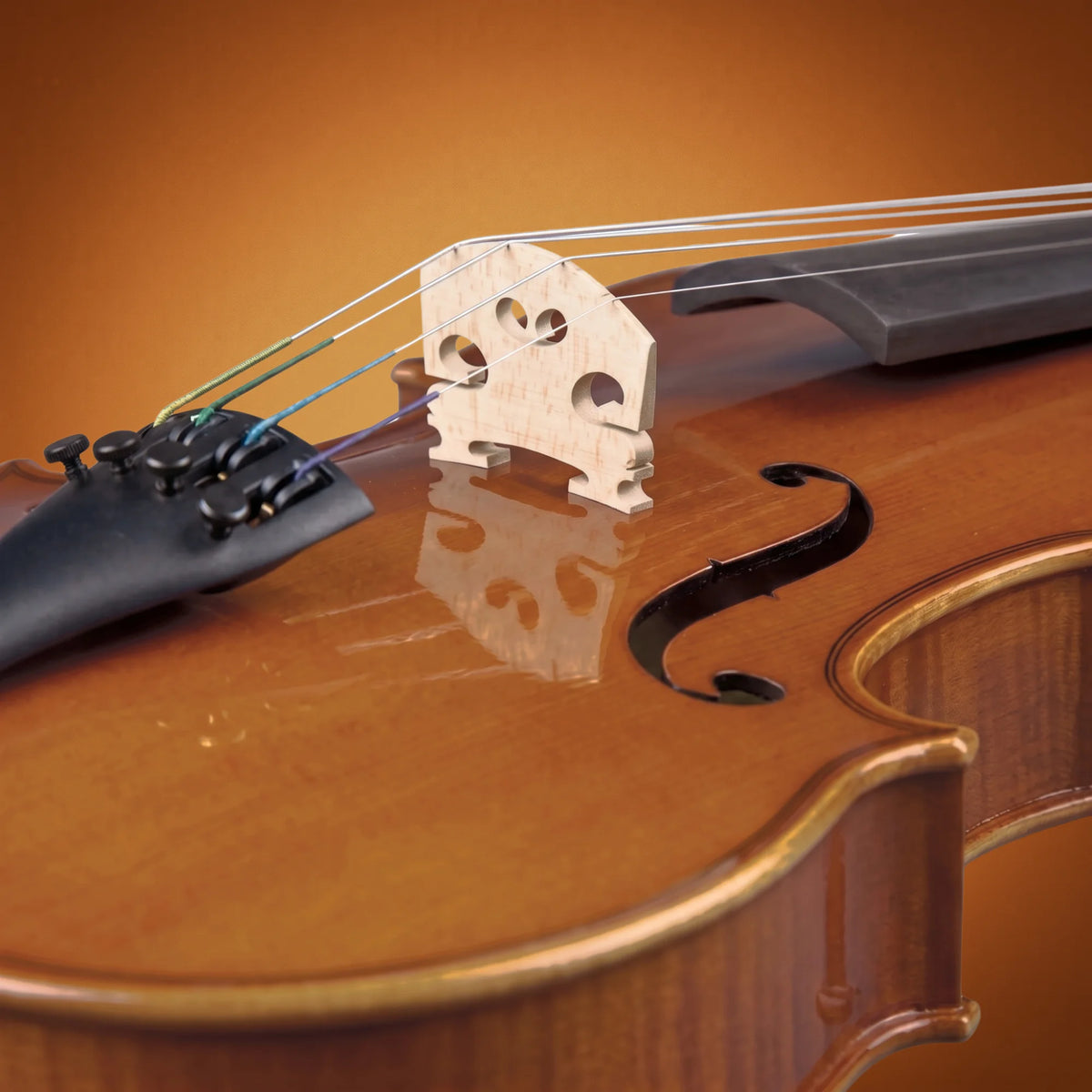 Domus Allievo 1 Violino 34