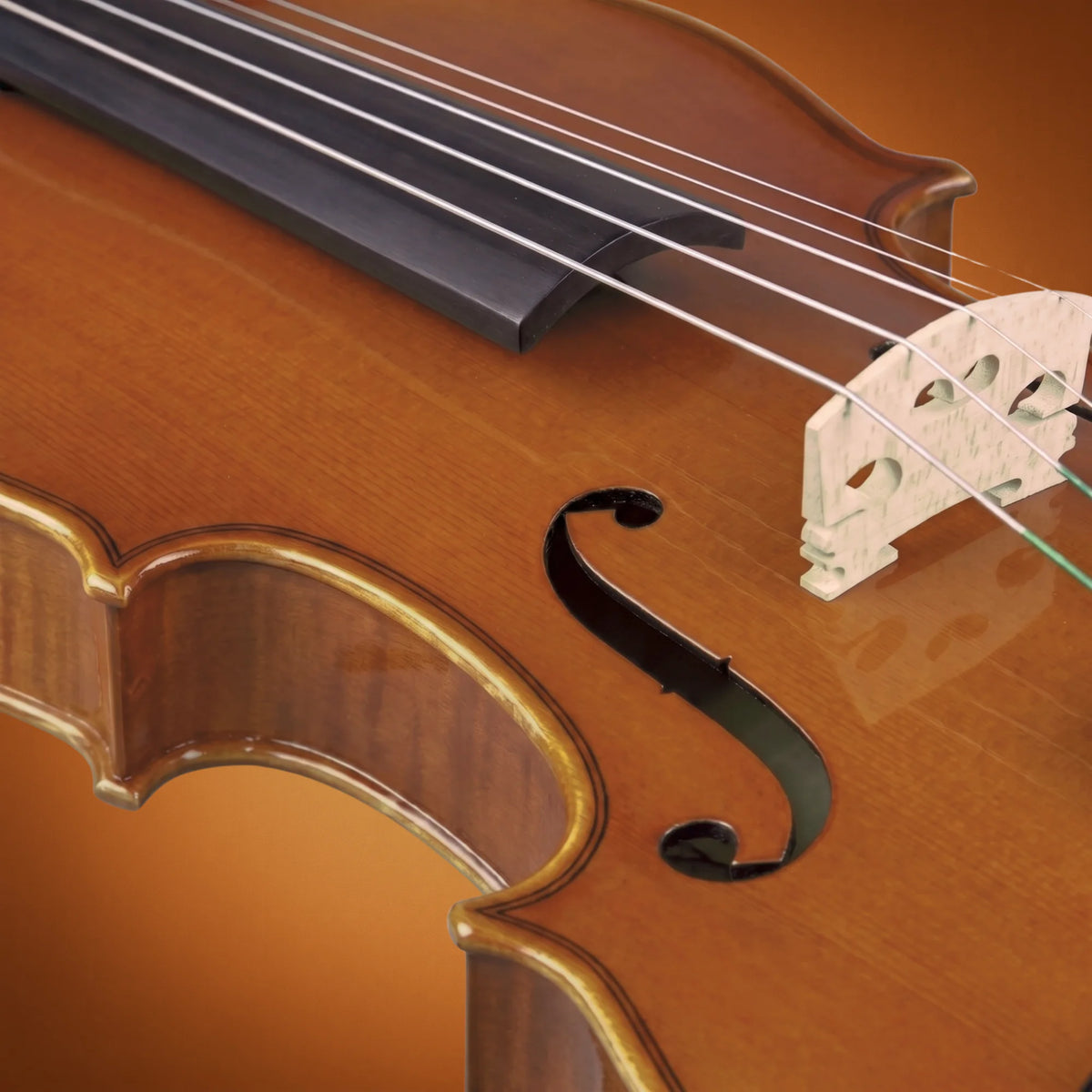 Domus Allievo 1 Violino 34