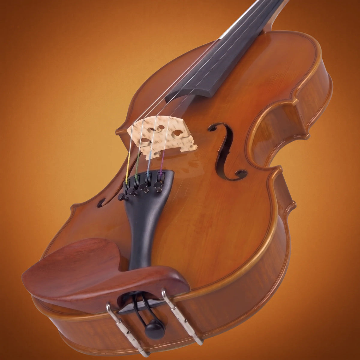 Domus Allievo 1 Violino 34