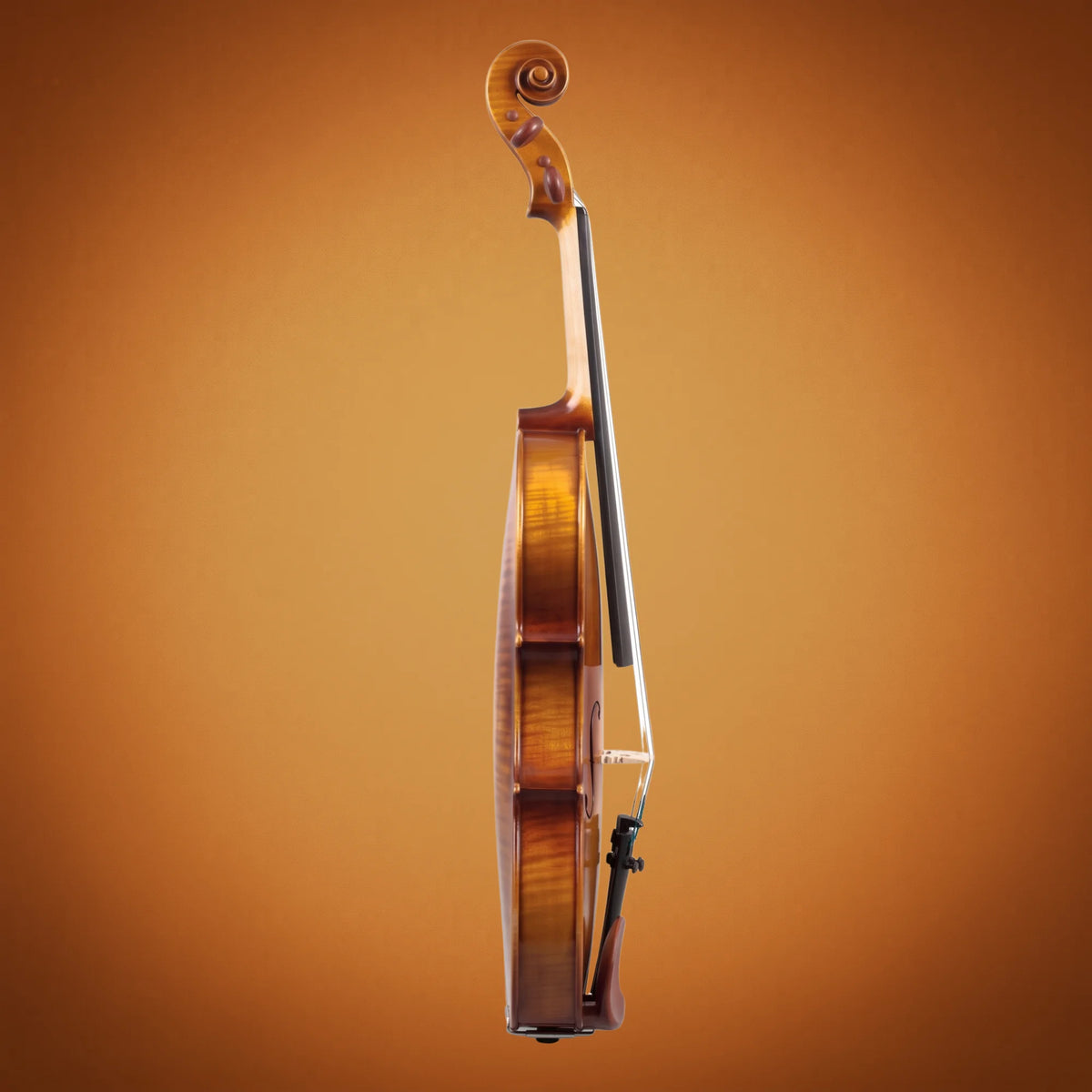 Domus Allievo 1 Violino 44