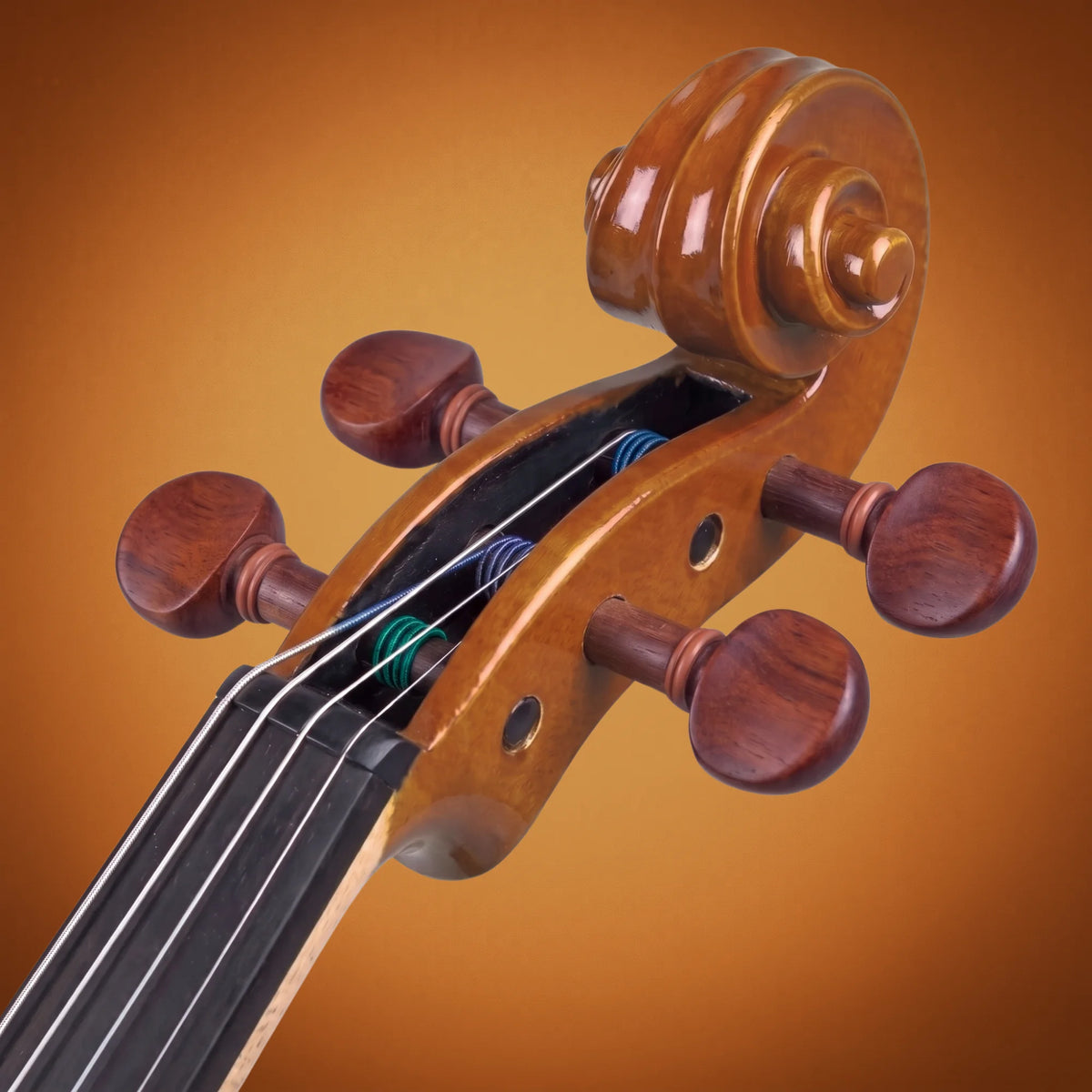 Domus Allievo 1 Violino 44