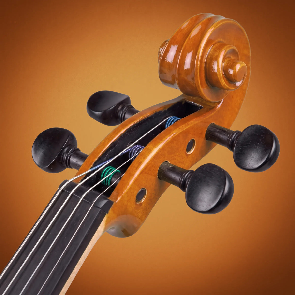 Domus Allievo 2 Violino 44