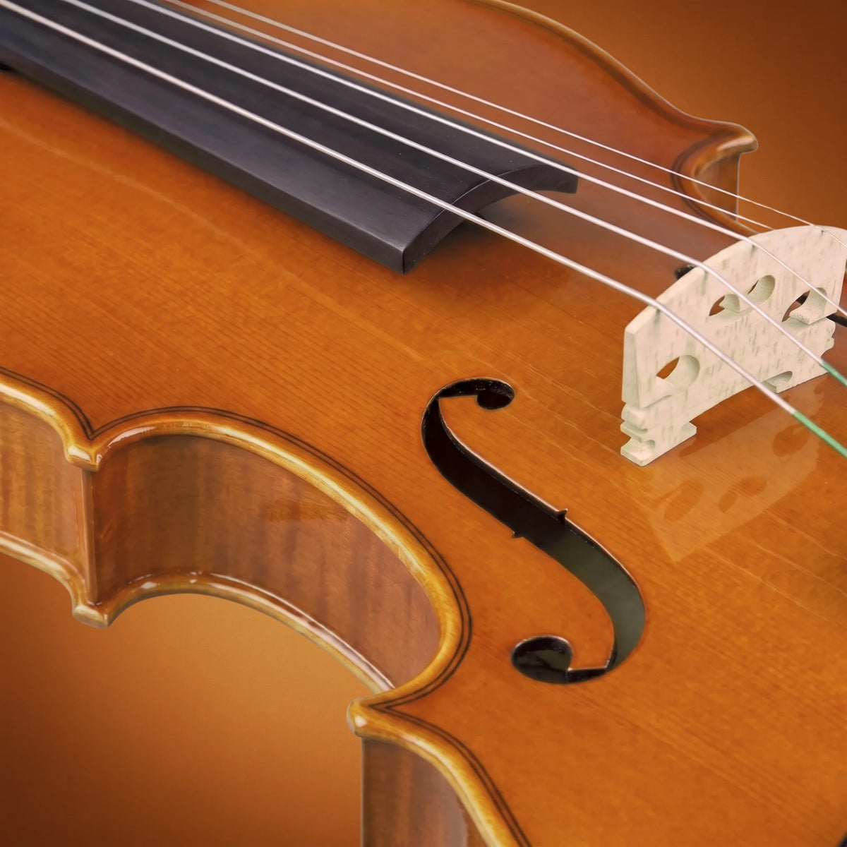 Domus Allievo 2 Violino 44