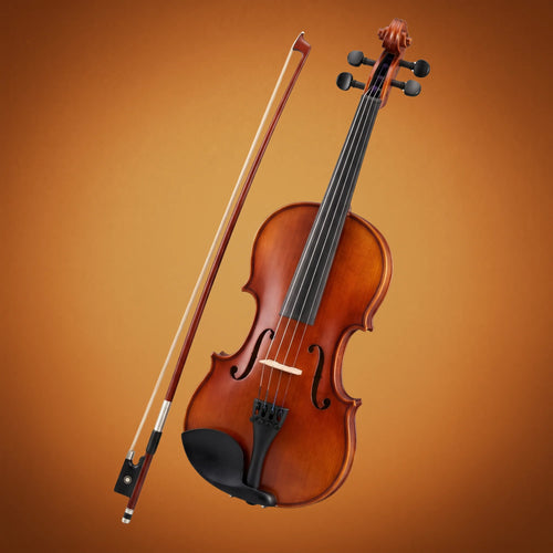 Domus Liceo Violino 44