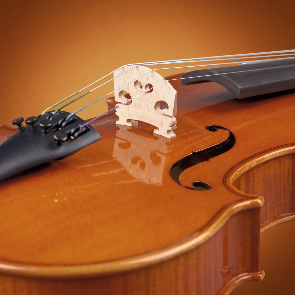 Domus Principiante 44 Violino