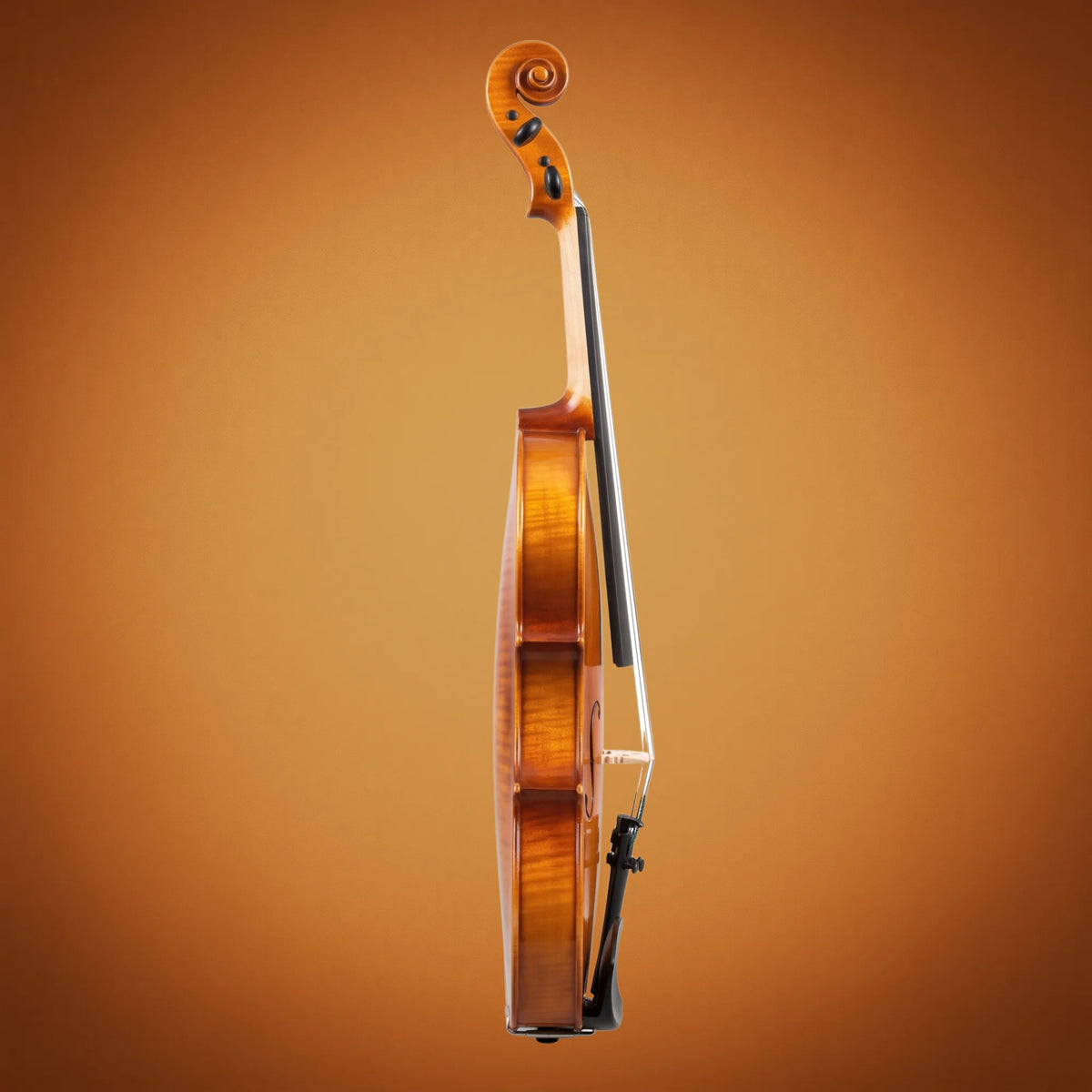 Domus Principiante 44 Violino