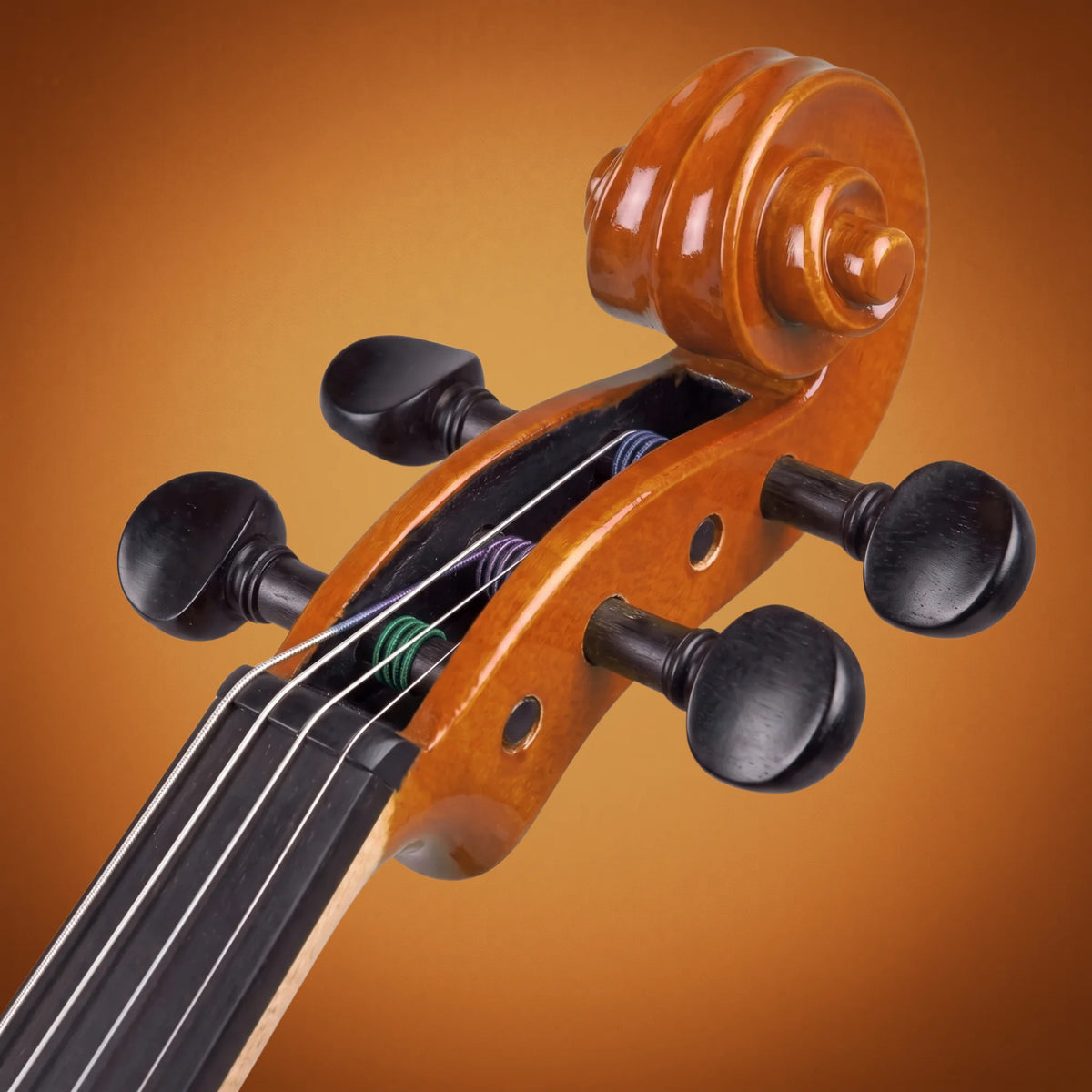 Domus Principiante 44 Violino
