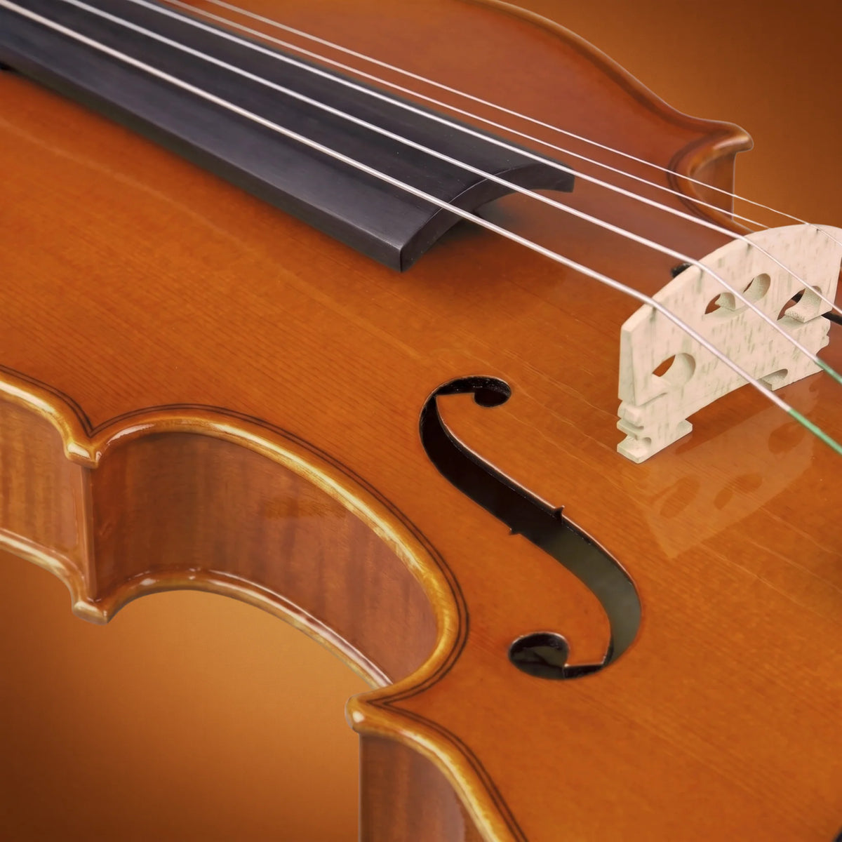 Domus Principiante 44 Violino