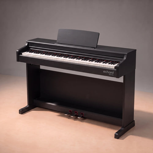 Echord DPX100B Satin Black