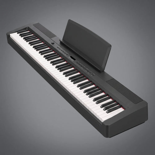 ECHORD SP10 B