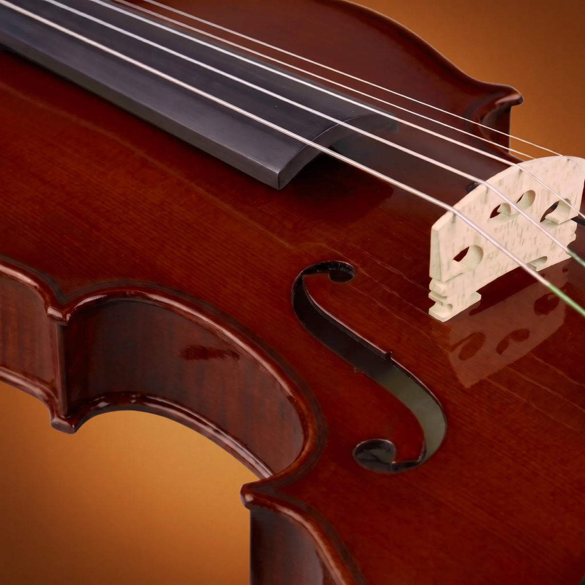 Soundsation VSVI 12 VIRTUOSO STUDENT Violino 12