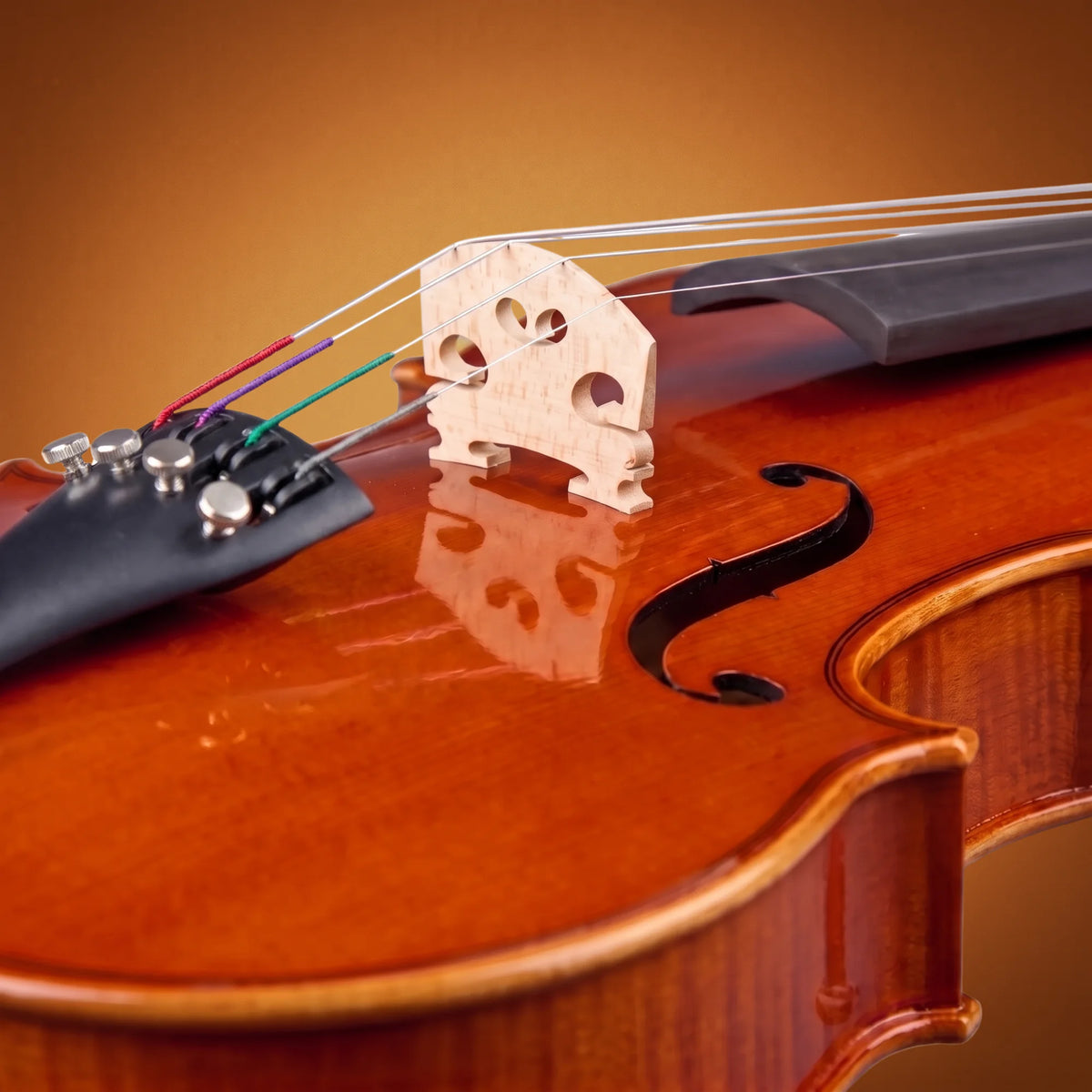 Violino di liuteria Sepp Hornsteiner