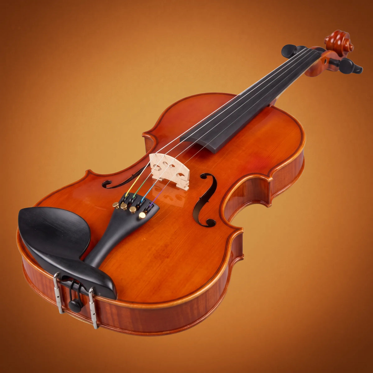 Violino Domus Rialto 12