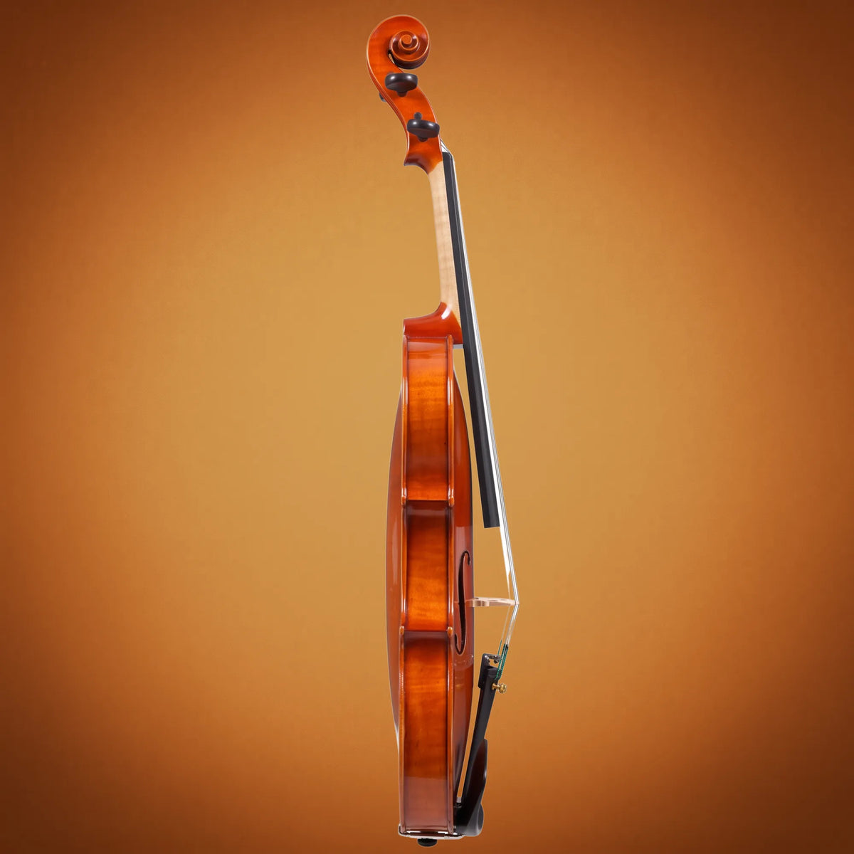 Violino Domus Rialto 12