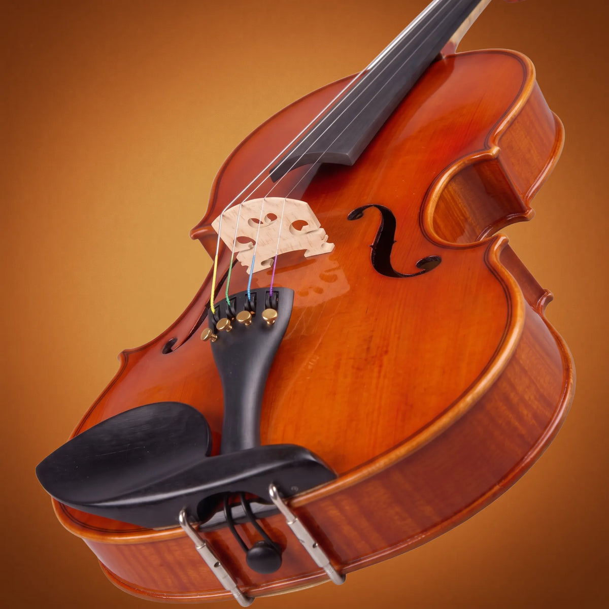 Violino Domus Rialto 12