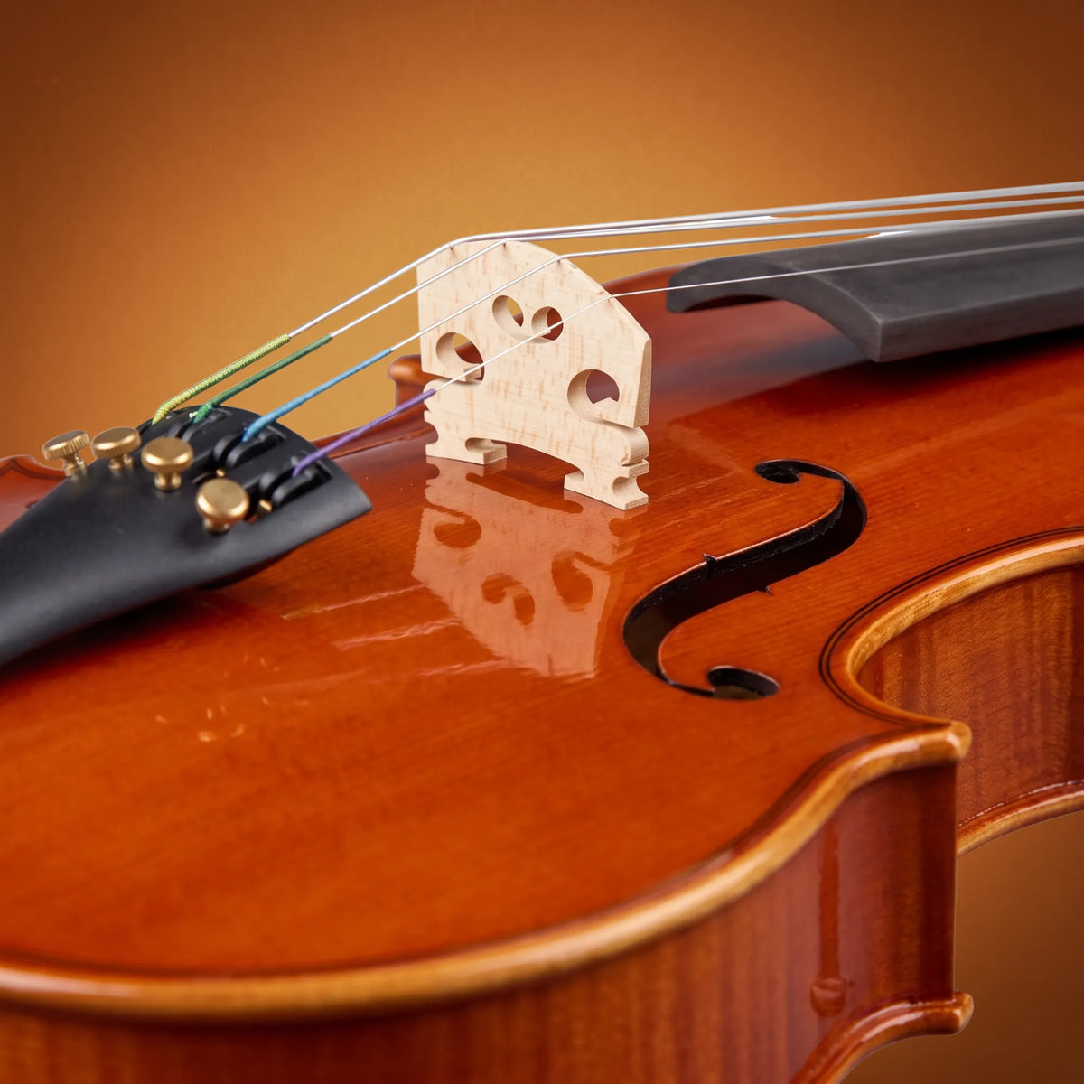 Violino Domus Rialto 34