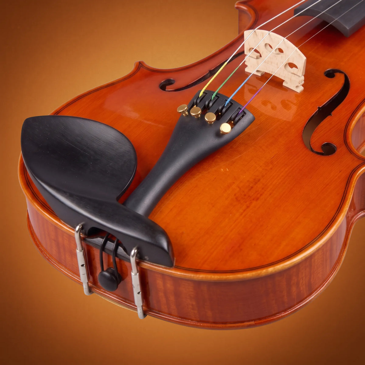Violino Domus Rialto 34