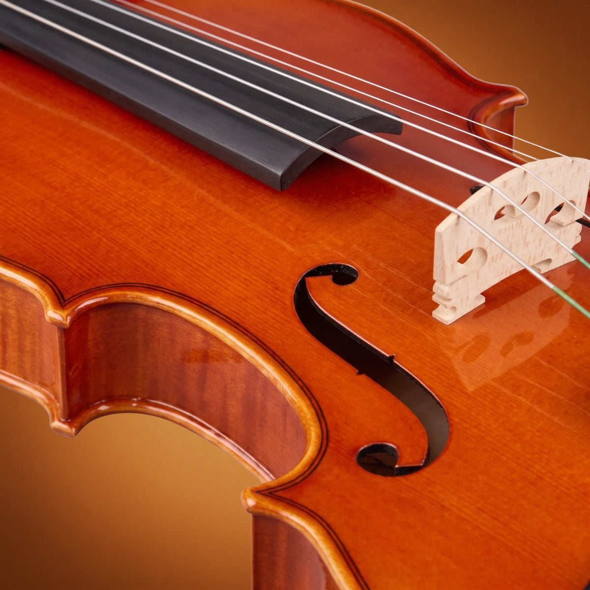 Violino Domus Rialto 44