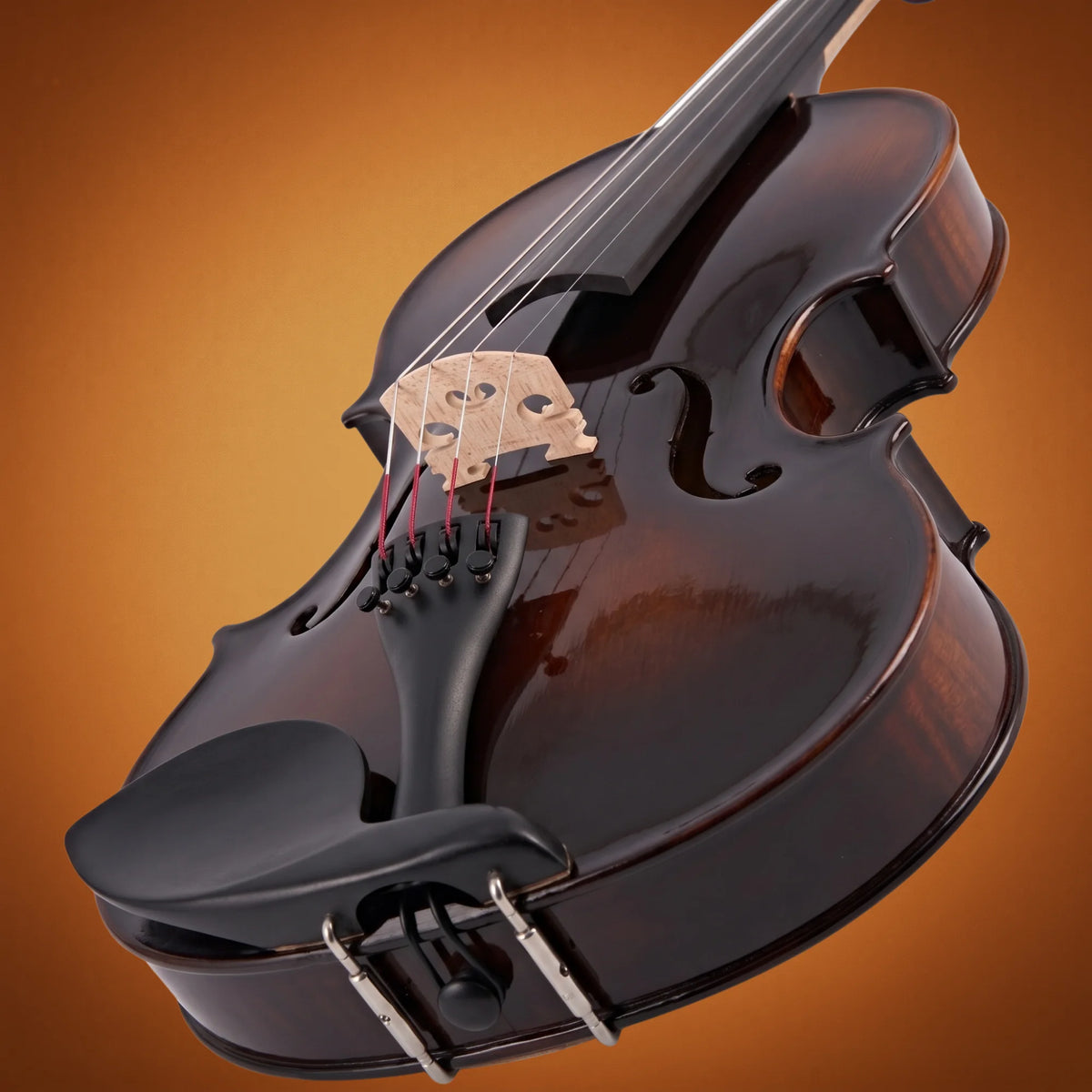 Violino Domus Rialto II 44